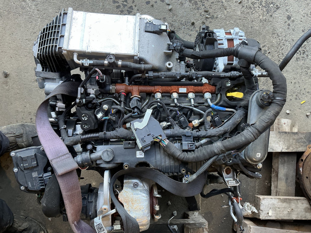 2020 Ford Endura CA- Engine- (TAG16432)
