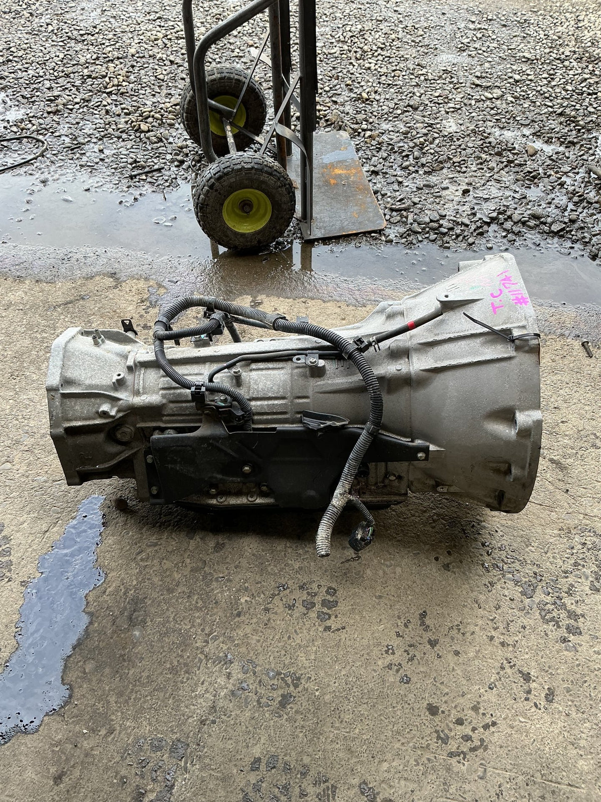 2019 Mitsubishi Triton- Automatic Transmission- (TAG11741)