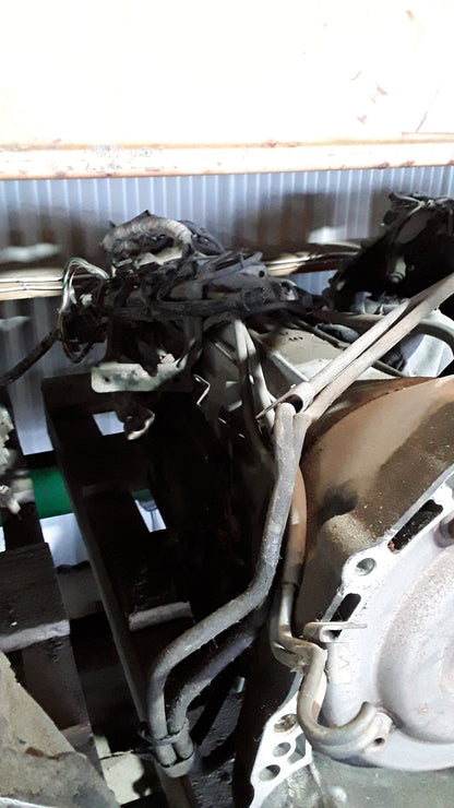 1998-2000 Nissan Terrano R50- Automatic Transmission- (TAG1567)