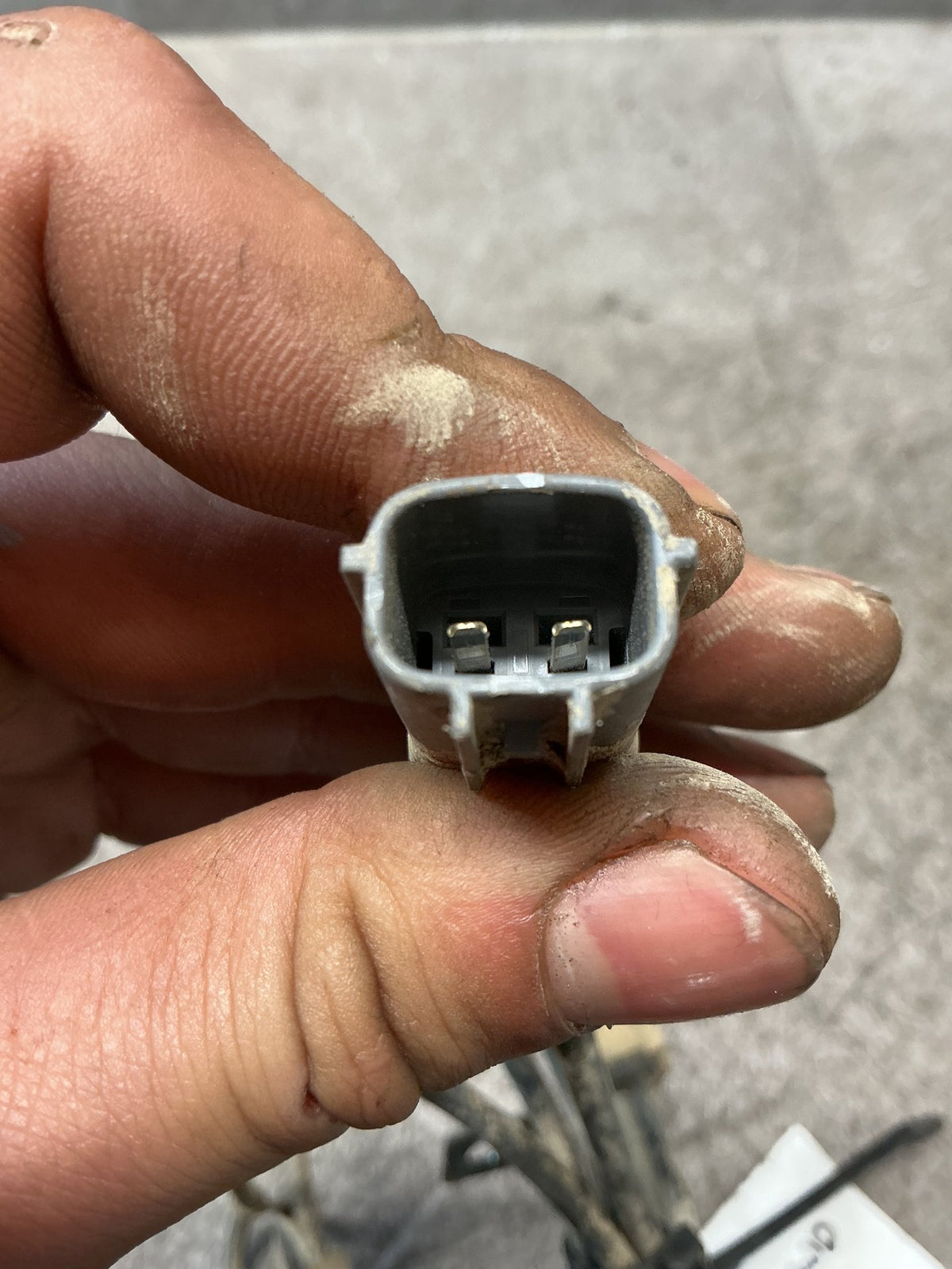 2004 Ford Courier WLT - Right Rear ABS Sensor - (TAG18312)