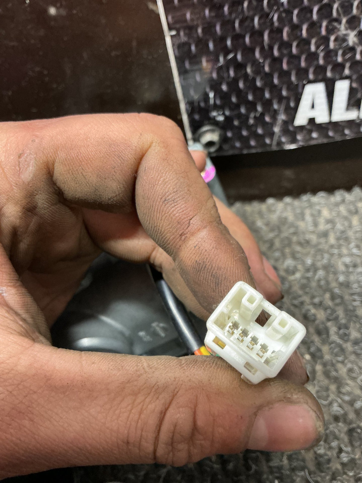 2004 Nissan Elgrand E51- Ignition With Key- (TAG10414)