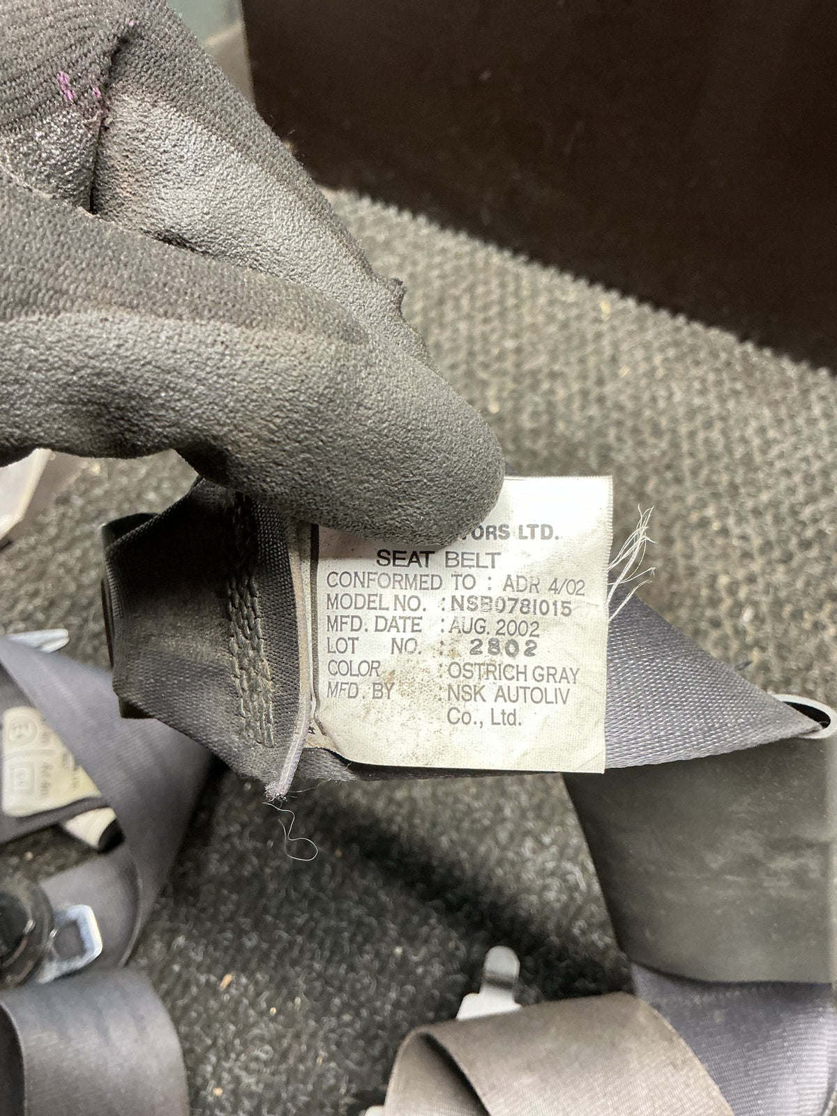 1998-2003 Holden Rodeo TF- Left Front Seat Belt- (TAG11524)