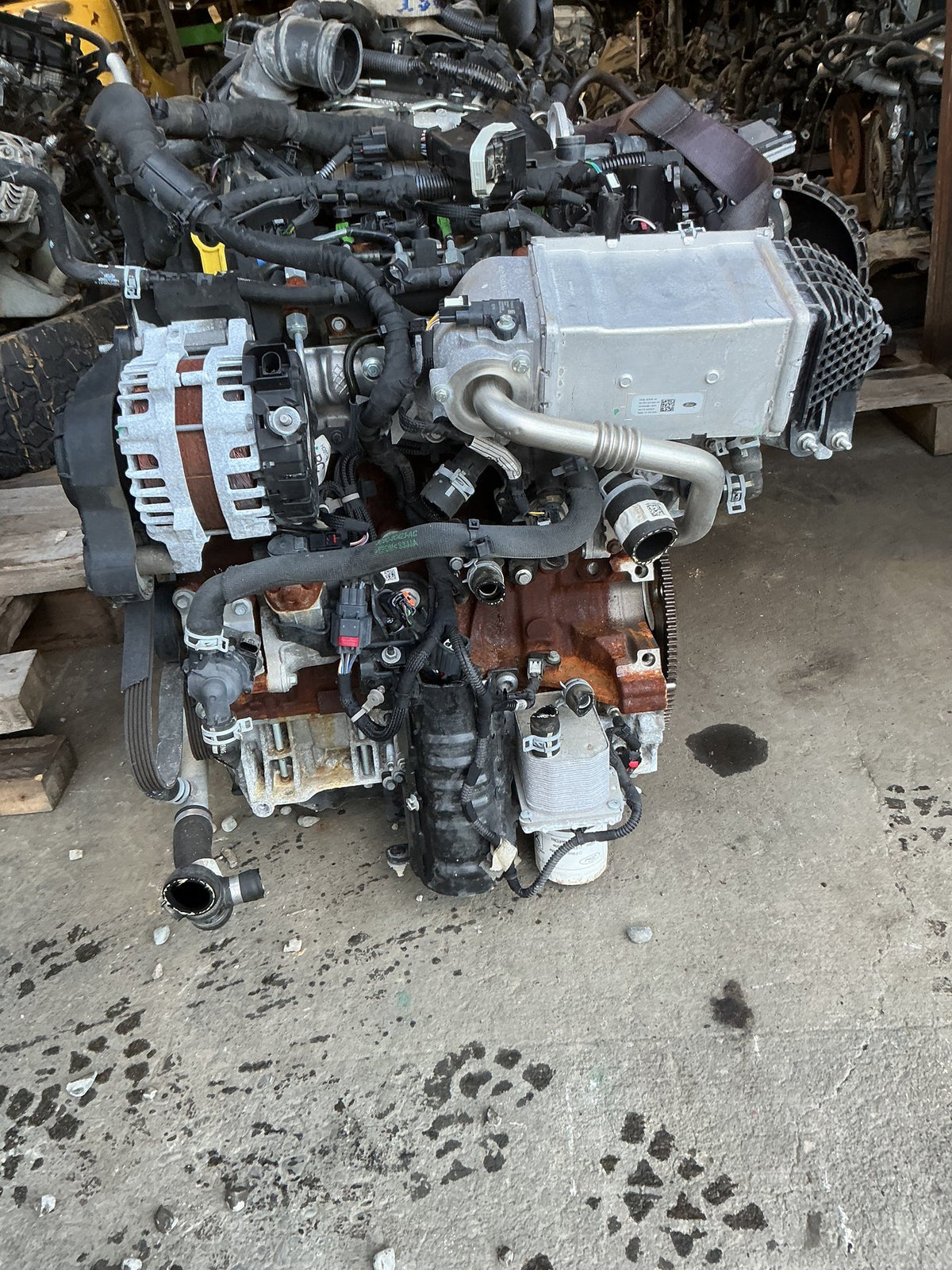 2020 Ford Endura CA- Engine- (TAG16432)