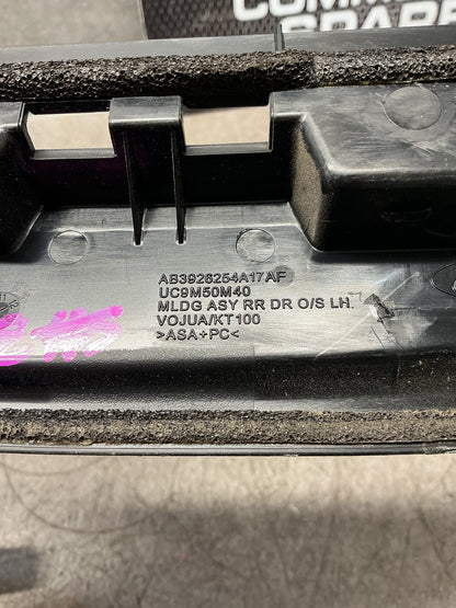 2016 Ford Ranger- Left Rear Door Moulding- (TAG17262)