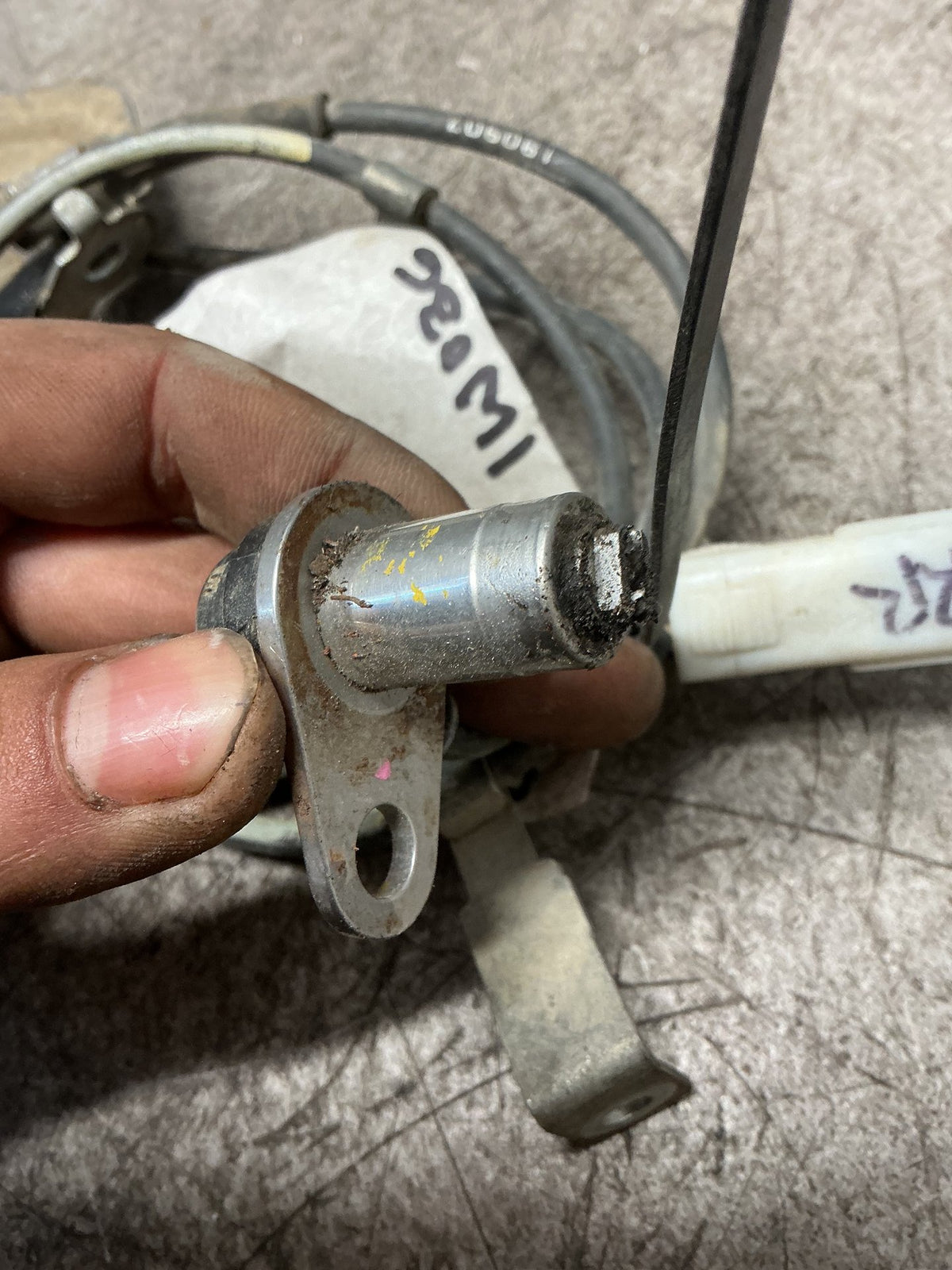 2008 Ford Ranger - Right Rear ABS Sensor - (TAG18319)
