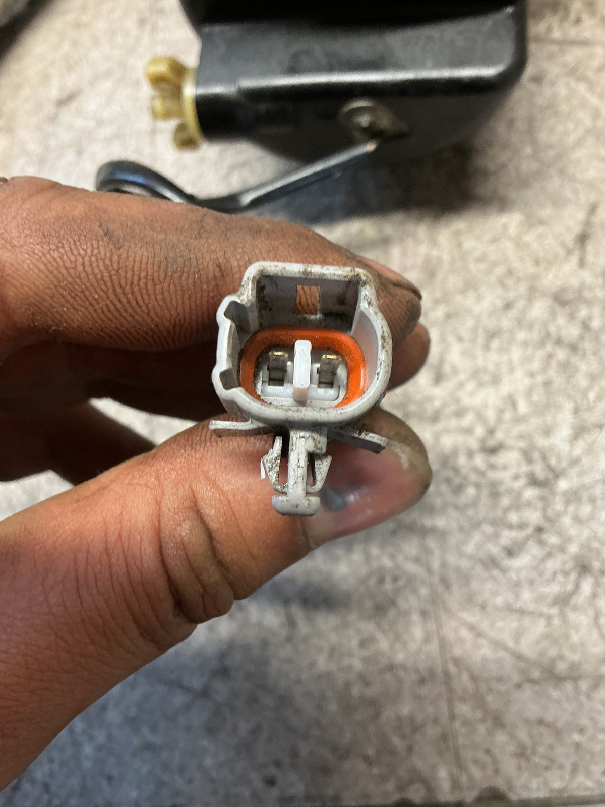 2016 Ford Ranger PXII - Fuel Filter Housing - (TAG18531)