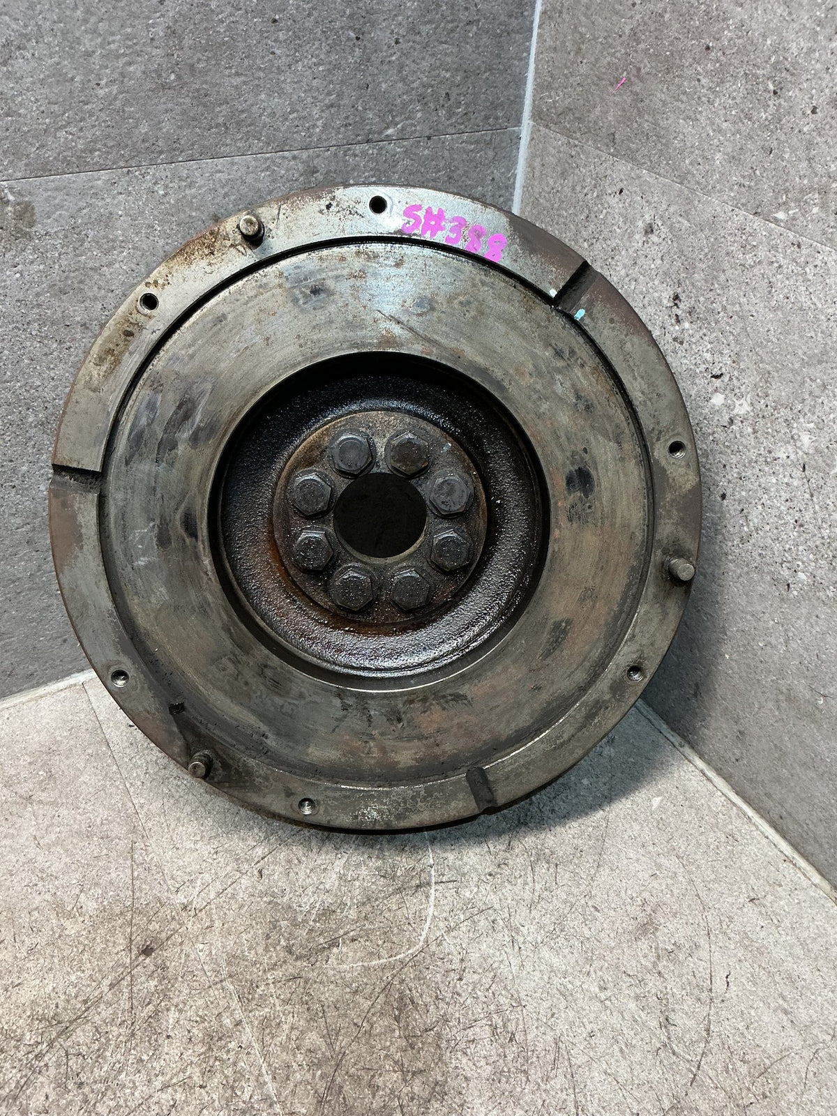 2006 Toyota Hilux - Flywheel/Flexplate - (TAG17743)