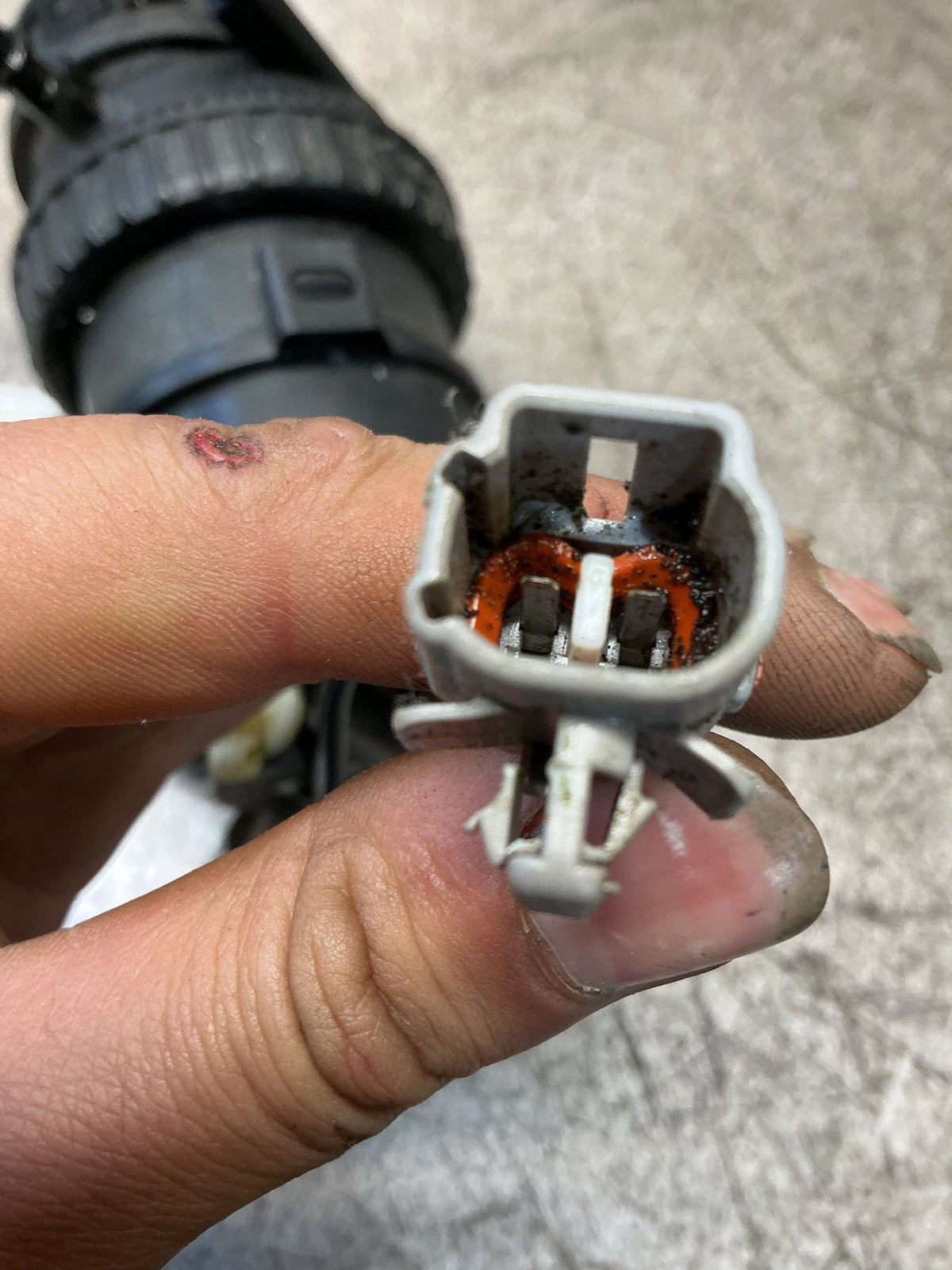2015-2018 Ford Ranger PXII - Fuel Filter Housing - (TAG17924)