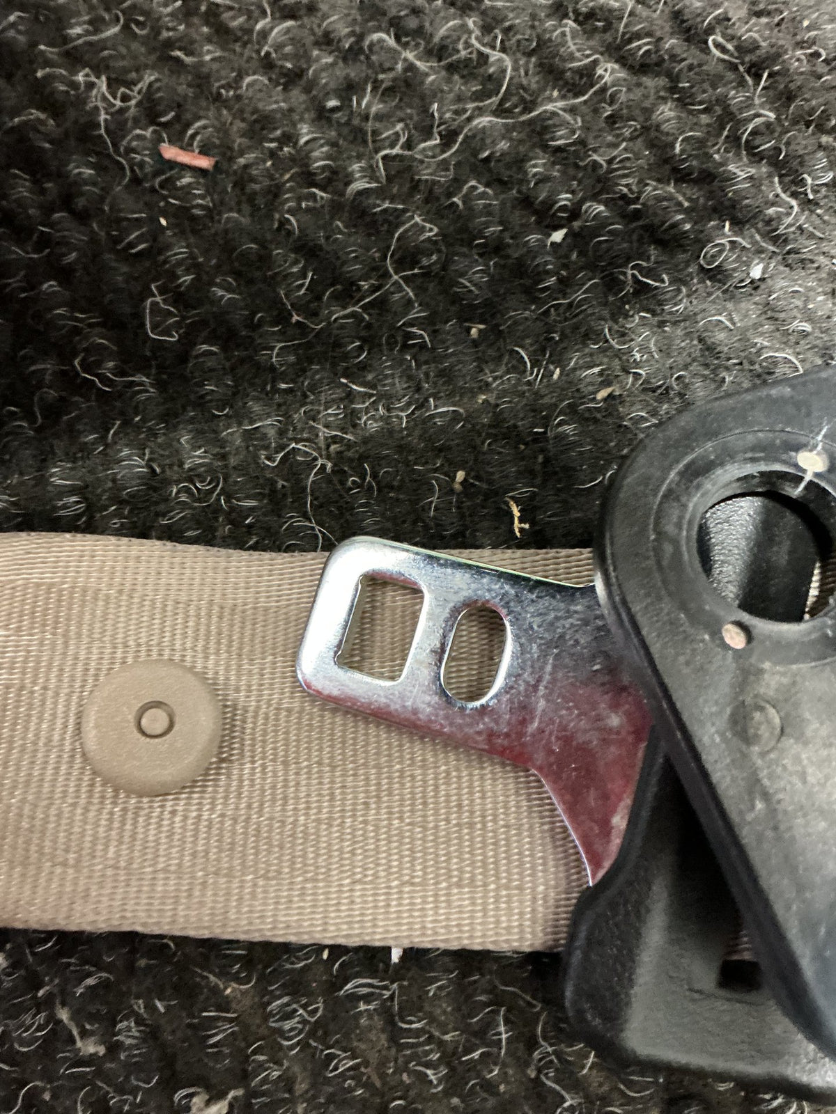 2003 Ford Escape 4W012- Left Front Seat Belt- (TAG10803)