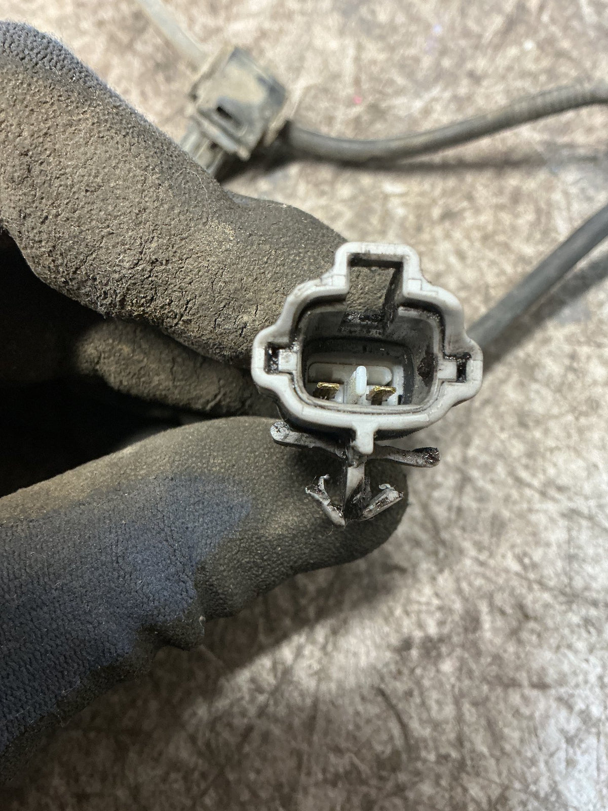 1996-2000 Toyota Land Cruiser J90 - Left Front ABS Sensor - (TAG18007)