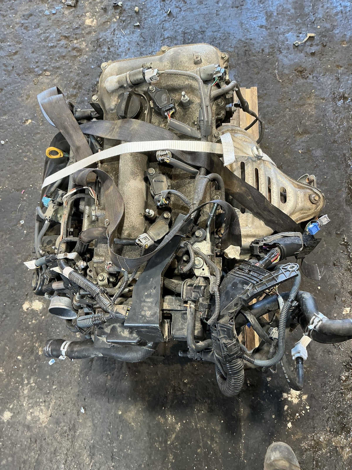 2013-2015 Toyota RAV4 A40- Engine- (TAG11109)