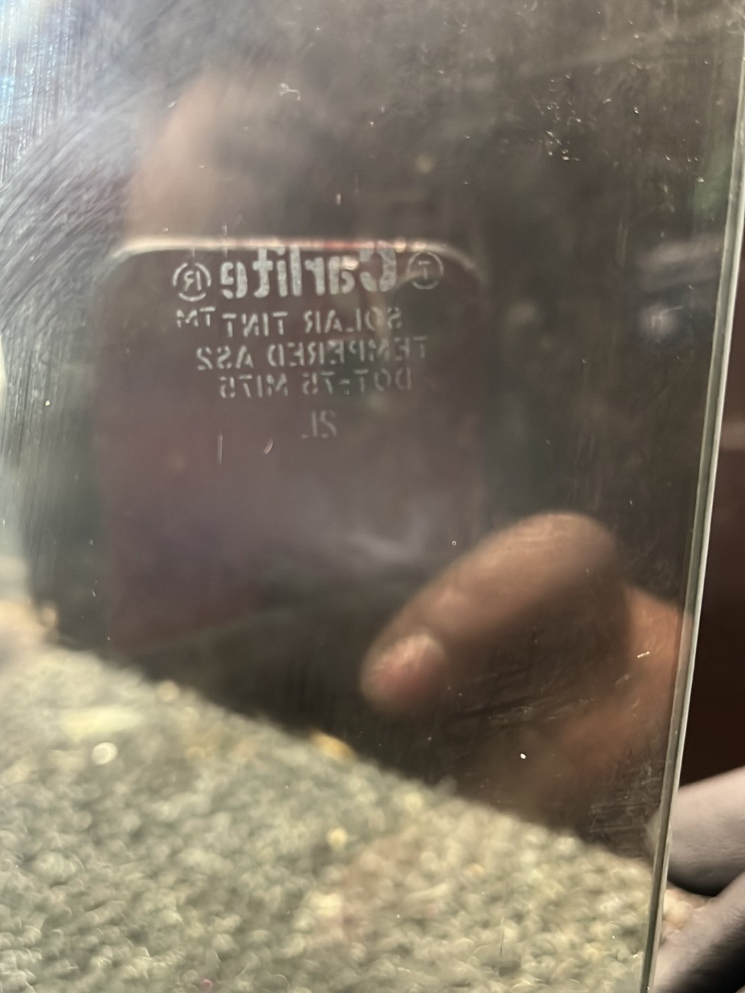 2003 Ford Explorer- Left Front Door Window- (TAG8909)